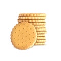 Vector stack of round biscuit cookies. Template, mockup for crackers isolated on white background. Whole wheat biscuit