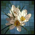 Vector stained glass window with blooming bouquet of white crocuses.