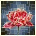 Vector stained glass window with blooming red velvet tulip.