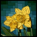 Vector stained glass window with blooming two narcissus flowers.