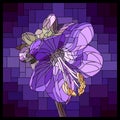 Vector stained glass window with blooming violet Polemonium. Royalty Free Stock Photo