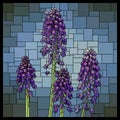 Vector stained glass window with purple muscari.