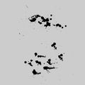 Vector Stains, Blots, Splashes Set. Ink splats Royalty Free Stock Photo