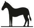 Vector standing horse animal silhouette drawing Royalty Free Stock Photo