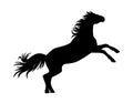 Vector standing horse silhouette Royalty Free Stock Photo