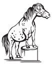 Vector standing pony Royalty Free Stock Photo