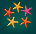 Vector starfish on dark green background