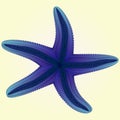 Vector Starfishes Blue Color Illustration