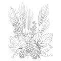 Vector stem with ornate Hops and barley ears. Outline barley and hops in black on white. Royalty Free Stock Photo
