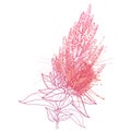 Vector stem with outline Amaranthus or Amaranth flower bunch and leaves in pastel red isolated on white background.