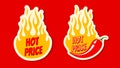 Vector stickers with chilli pepper and fire for special offer. Vector set banners with chili pepper