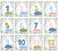 Set of baby milestone cards for boy or girl. From 1 to 12 months.