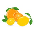 Vector still life of orange and lemon on a white background. Well balanced composition. Royalty Free Stock Photo