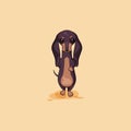 Vector stock illustration emoji of cartoon character dog talisman, phylactery hound, mascot pooch, bowwow dachshund Royalty Free Stock Photo