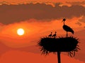 vector Stork with chicks