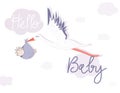 Vector Stork Flight and Baby Delivery in Sky Isolated Design.