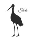 Vector Stork Silhouette isolated on white background