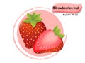 Vector Strawberries fruit isolated on color background,illustrator 10 eps Royalty Free Stock Photo