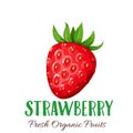 Vector strawberries illustration