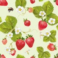 Vector strawberry seamless pattern. Royalty Free Stock Photo