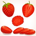 Vector strawberry. Sliced, whole, half strawberry. Royalty Free Stock Photo