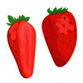 Vector strawberry on white background. Flat illustration Royalty Free Stock Photo