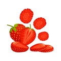Vector strawberry. Whole, sliced, half of a strawberry isolated on white background Royalty Free Stock Photo