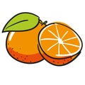 Ripe Orange Fruit Segment Hand Drawn Vector Illustration