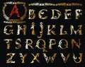 Vector of stylized calligraphic font and alphabet