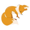 Vector stylized fox in a jump. A cartoon fox. Forest inhabitants. Illustration for children. Wild animal.