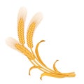 Vector stylized image of a bunch of three yellow ripe wheat ears with leaves and awns.