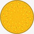 Vector stylized single yellow sesame cookie on a white background