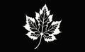 vector stylized white grape leaf on black background Royalty Free Stock Photo