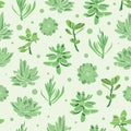 Vector succulent garden seamless pattern