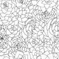 Vector succulents seamless pattern. Succulent black and white or