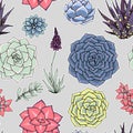 Succulents seamless pattern. Succulent ornament.