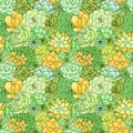 Vector succulents seamless pattern. Succulent ornament.