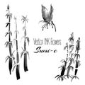 Vector sumi-e traditional elements. Bamboo. Royalty Free Stock Photo