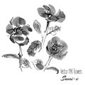 Vector sumi-e traditional elements. Dog-roses Royalty Free Stock Photo