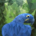 Vector summer background with polygonal parrot Royalty Free Stock Photo