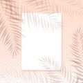 Vector summer background with transparent overlay palm leaves shadow and paper blank on pink wall. Realistic soft light mockup Royalty Free Stock Photo