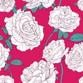 Vector summer background with white outline rose flowers. Floral seamless pattern.