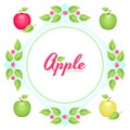 Vector summer circle design elements with red apple and fresh green leaves