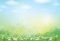 Vector summer, green, nature background.