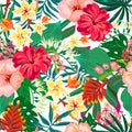 Vector summer natural vintage exotic seamless pattern with tropical leaves, leaves, flowers, hibiscus, orchid. Botanical Royalty Free Stock Photo