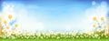 Vector summer nature background with cute tiny daisy flowers and green grass fields. Spring background with abstract blurry bokeh Royalty Free Stock Photo