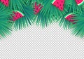 Vector Summer palm leaves with watermelon slices on transparent background. Trendy tropical frame Royalty Free Stock Photo