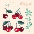 Vector summer pattern with sweet cherries, flowers and leaves. Seamless texture design. Royalty Free Stock Photo