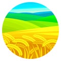Vector summer rural landscape. Ripe ears of wheat, yellow and green hills, blue sky. Royalty Free Stock Photo