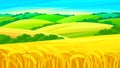 Vector summer rural landscape. Wheat field, yellow and green hills, blue sky. Royalty Free Stock Photo